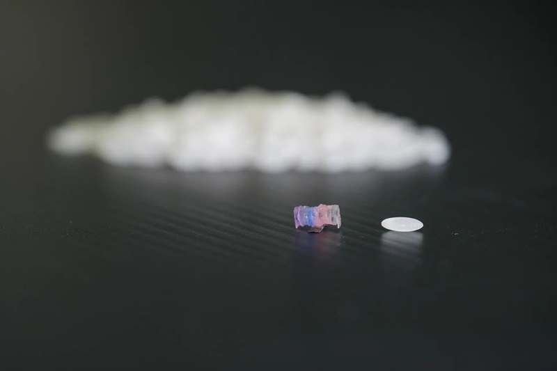 Image: The new soft robots can be controlled using magnetic fields for targeted drug delivery (Photo courtesy of NTU Singapore)